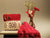 FLORAL (Symfonie Shawl Sticks)